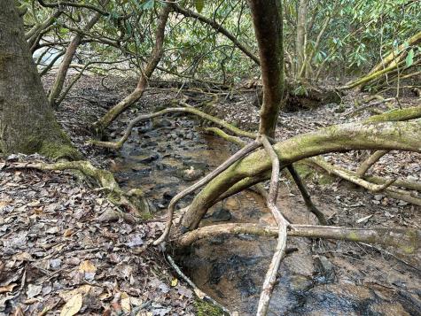 184 Loganberry Lane Hayesville NC 28904