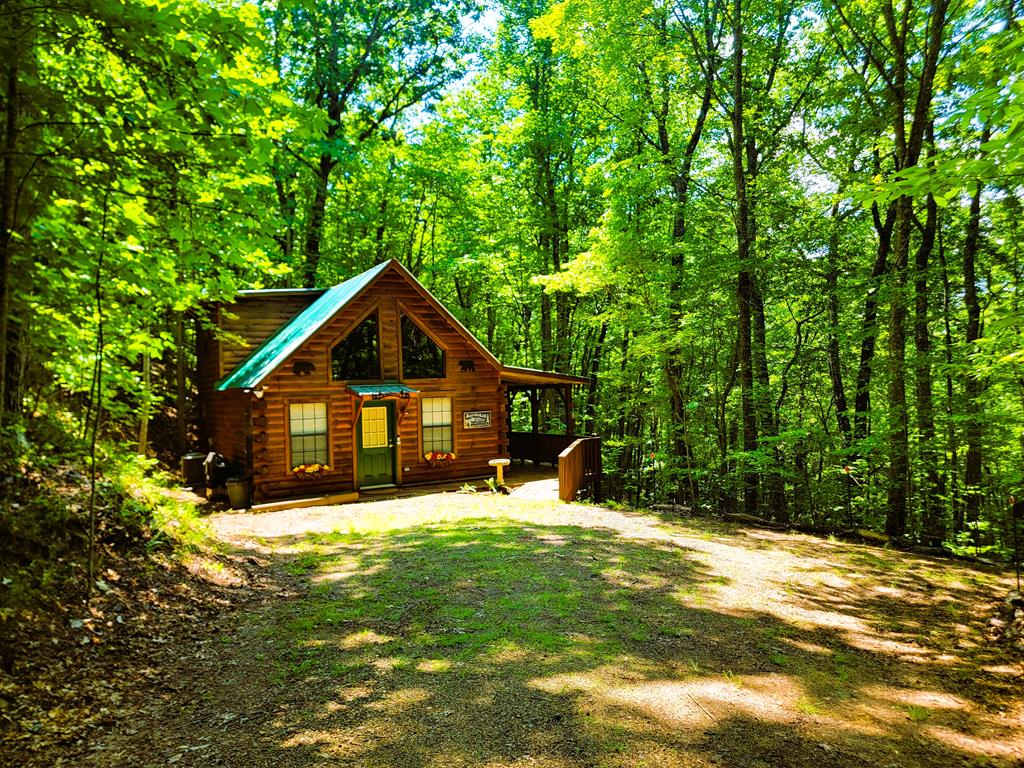 140 Treehouse Trail Murphy NC 28906