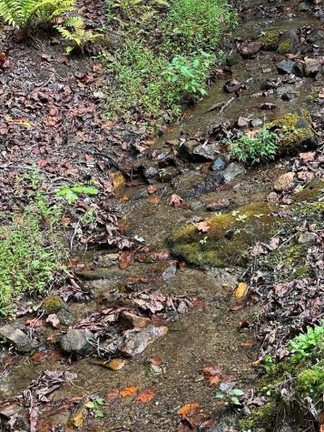 187 Gardenia Court Marble NC 28906