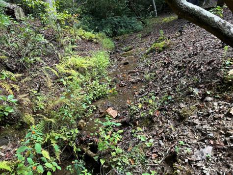 187 Gardenia Court Marble NC 28906