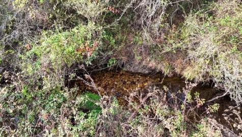 147 Sawyer Cove Road Hayesville NC 28904