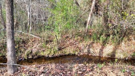 147 Sawyer Cove Road Hayesville NC 28904