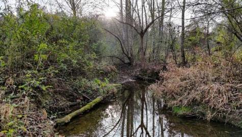 147 Sawyer Cove Road Hayesville NC 28904