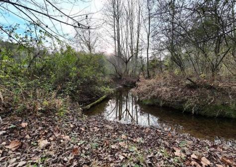 147 Sawyer Cove Road Hayesville NC 28904