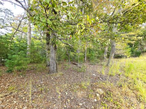 147 Sawyer Cove Road Hayesville NC 28904