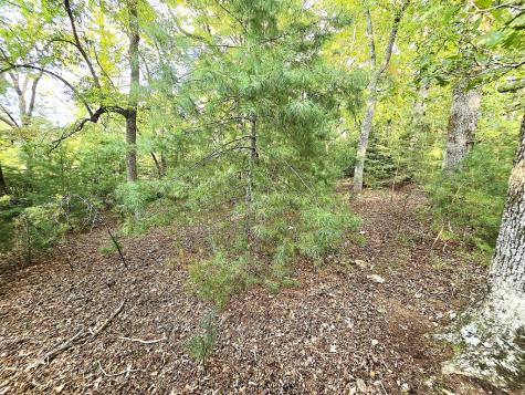 147 Sawyer Cove Road Hayesville NC 28904