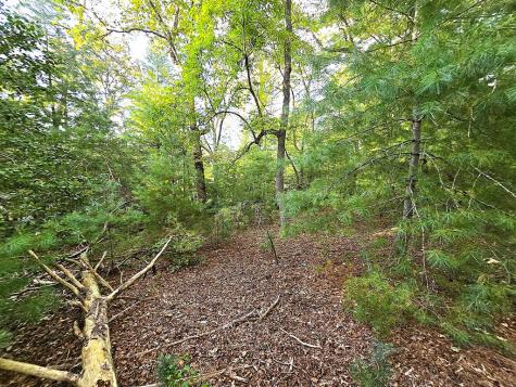 147 Sawyer Cove Road Hayesville NC 28904