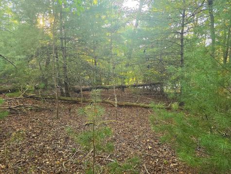 147 Sawyer Cove Road Hayesville NC 28904