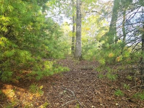 147 Sawyer Cove Road Hayesville NC 28904