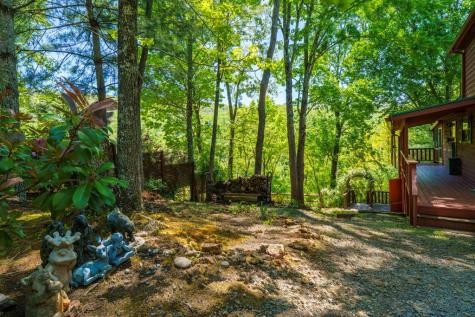 45 Black Bear Trace Murphy NC 28906