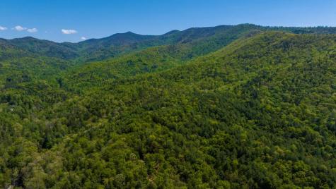 45 Black Bear Trace Murphy NC 28906