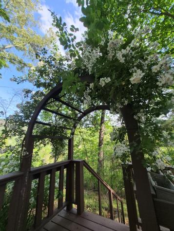 45 Black Bear Trace Murphy NC 28906