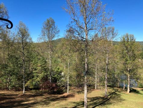 121 White Oak Drive Warne NC 28909