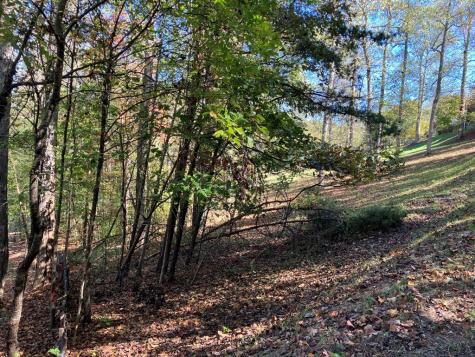 121 White Oak Drive Warne NC 28909