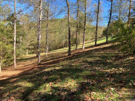 121 White Oak Drive Warne NC 28909