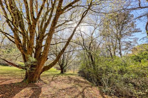 257 Brandus Drive Hayesville NC 28904