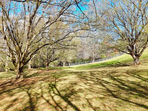 257 Brandus Drive Hayesville NC 28904