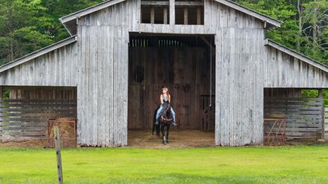 102 Cross Creek Lane Warne NC 28909