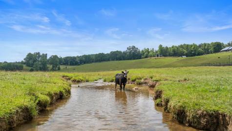 102 Cross Creek Lane Warne NC 28909