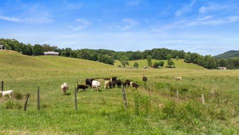 102 Cross Creek Lane Warne NC 28909