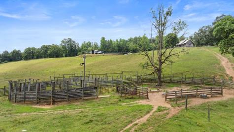 102 Cross Creek Lane Warne NC 28909