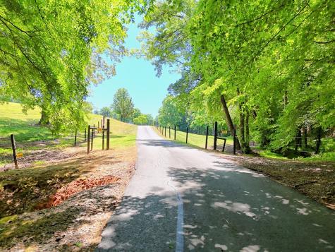 1193 Pine Log Road Warne NC 28909