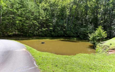 76 Hollyanne Pond Hayesville NC 28904