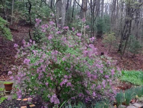 64 Timberline Road Murphy NC 28906