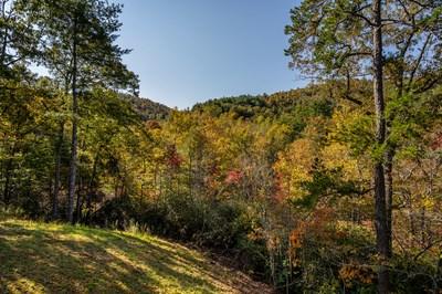 390 Fiddlers Way Murphy NC 28902