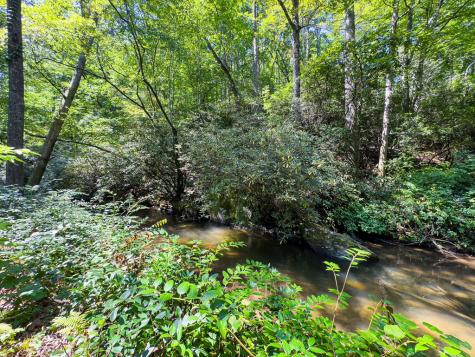 277 Virginia Lane Murphy NC 28906