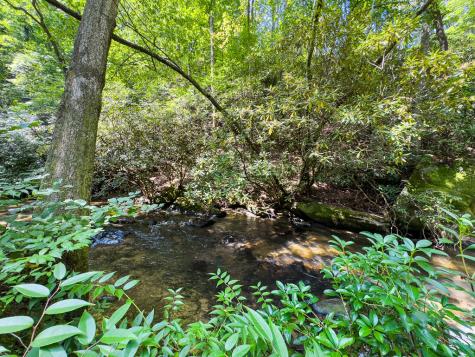 277 Virginia Lane Murphy NC 28906