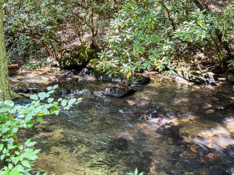 277 Virginia Lane Murphy NC 28906