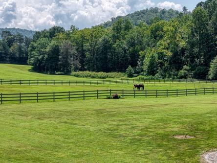 186 Rice Landing Court Hayesville NC 28904