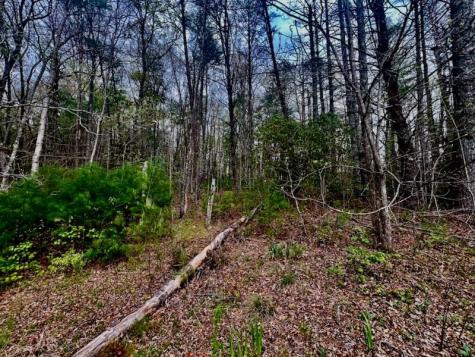 16378 W Us 64 Murphy NC 28906