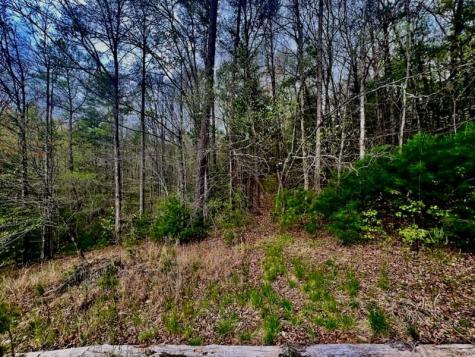 16378 W Us 64 Murphy NC 28906