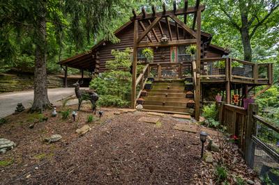 371 Little Rock Creek Court Cherry Log GA 30522