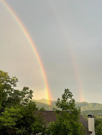 971 White Oak Drive Warne NC 28909