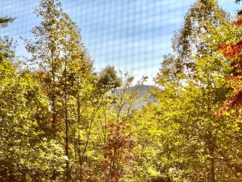 90 Pounding Mill Knob Hayesville NC 28904