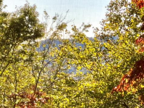 90 Pounding Mill Knob Hayesville NC 28904