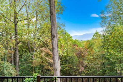 82 Hebron Way Young Harris GA 30582