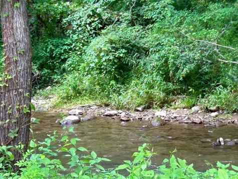 45 Caboose Creek Andrews NC 28901