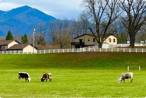 45 Caboose Creek Andrews NC 28901