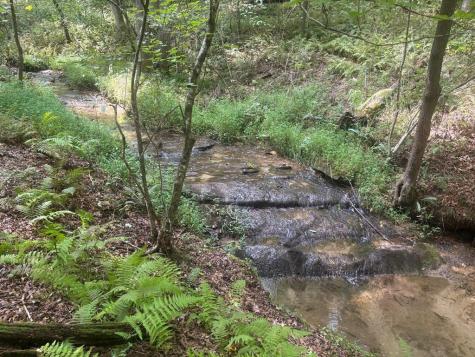 141 Friendship Lane Mineral Bluff GA 30559