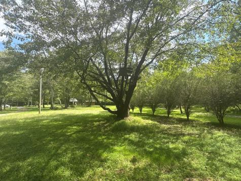 141 Friendship Lane Mineral Bluff GA 30559