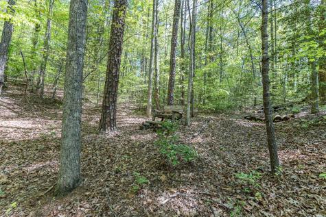 421 Sleepy Hollow Murphy NC 28906