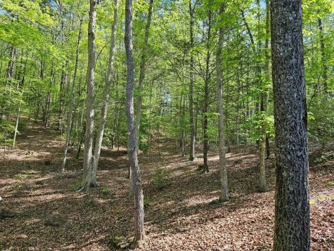 421 Sleepy Hollow Murphy NC 28906