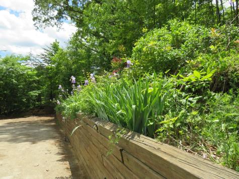 905 Johnson Road Hiawassee GA 30546