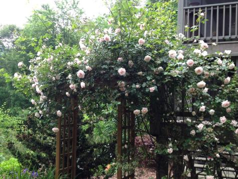 197 Eagles View Road Hayesville NC 28904