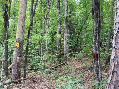 97 Concord Trail Murphy NC 28906