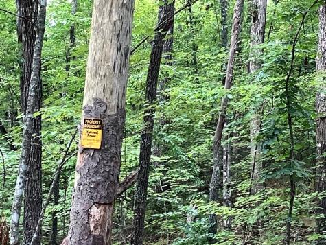 97 Concord Trail Murphy NC 28906